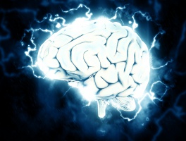 5bdf520868667.jpg