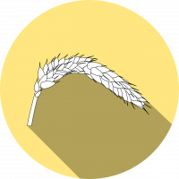 62c58b7a34d8d834731344.png
